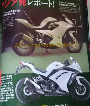 new kawasaki ninja 250 1