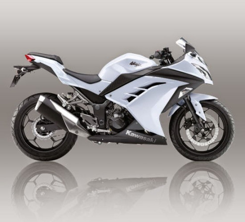 spakbor-kawasaki-ninja-250-fi