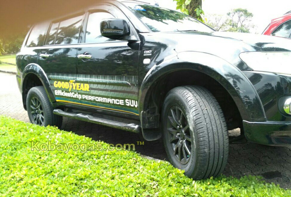 Goodyear EfficientGrip Performance SUV