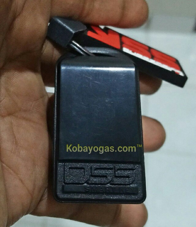 remote Alarm DSS