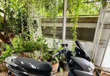 Motor Listrik Polytron FOX R Siap Dites Harian! review harian Polytron FOX R