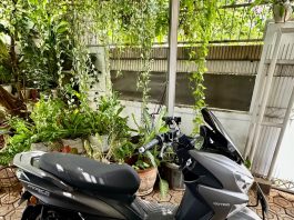 Motor Listrik Polytron FOX R Siap Dites Harian! review harian Polytron FOX R